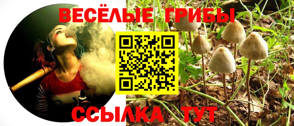 Псилоцибиновые грибы GOLDEN TEACHER  где купить наркотик  Вход с VPN  Минеральные Воды  Галлюциногенные грибы мицелий 